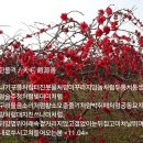 육탄 - 사하구 | 육탄