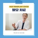모더함의원모발이식센터 | 부산 모발이식 병원 같은 모수를 심어도 차이가 생기는 이유