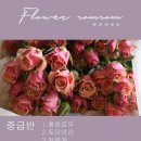플라워솜솜