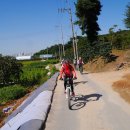 안양중앙시장 이미지