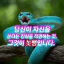 "불뱀은 당신이 창조했습니다. 놋뱀을 직면(직시)하여, 불뱀을 부른 자가 하나님이 아니라 당신이라는 진실을 인정하면 삽니다." 이미지