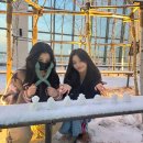 Pet14고8648 | 포카캡터 사리나의 조력자 | 모든 모순을 수용하고 껴안으며 사는 삶은 아름답다 | 이 주의 포스타입...