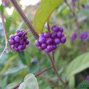 추곡약수터 이미지