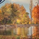 원어민 여행영어회화 이미지