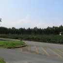 동원여관 이미지