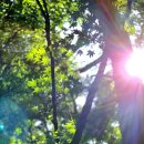 진주황포냉면 이미지