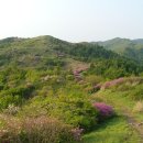 명문행정사사무소 이미지