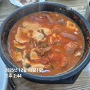 오렌다 핏 | [제주 한달살이] 퇴사 후 게하 스텝 후기 1주차 :: 준비물, 예상비용, 숙소 찾기, 포틀럭파티