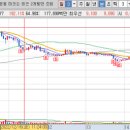 금양미래유치원 | 주식 이슈 및 관찰
