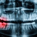 서울돌봄치과의원 이미지