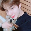 경 🤎🐶NCT 정우 달글🐶🤎 제 2회 오댕조사 축 이미지