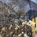 음지농장 이미지