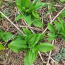 동천농장 이미지