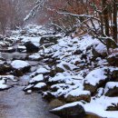 유전2리 이미지