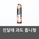 진달래몰