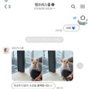 멍프리스쿨 이미지