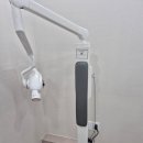 the 화이트e 치과의원 | 하단동 치과 보험임플란트 고민하고 있다면