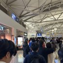 [2024 홍콩여행 5편] 1,2일차 : TW0117/ 홍콩공항 우버 택시 트래블월렛/ 디즈니랜드에서 시내