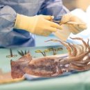 유성의료기 이미지