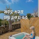 소다라 타이니 하우스 이미지