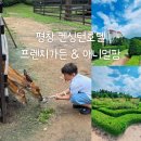 평창 켄싱턴호텔 프렌치가든, 애니멀팜 후기