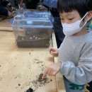 형우농장 이미지