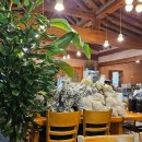 봄의 선물, 제주 밥상 이야기 이미지