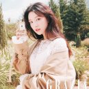 그라치아 이미지