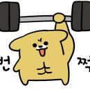 하루필름보정동카페 이미지