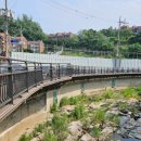 주정차62 이미지