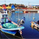 장림포구 이미지