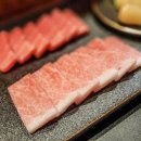 마루한참치