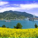 초양도주차장 이미지