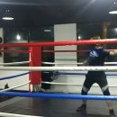 와룡 다이어트 복싱 이미지