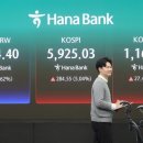 더블유씨피 중앙이코노미뉴스