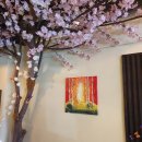 미스터스시강 이미지