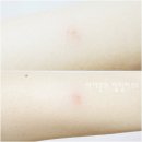 젠네트 | [화장발카페-네추럴 솝 젠네트 후기] 천연비누 젠네트로 메이크업 클렌징,바디워시로 사용!