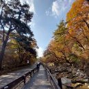 불.수.사 .도.북 연계산행 5 (2025.11.09 日) 북한산종주. 우이역-대남문-불광역 이미지