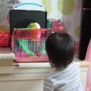 홍이삼이네 이미지