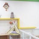 독앤걸즈 이미지