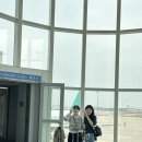 마이리틀메이트 | 오사카 2박3일 우정여행 1일차(호라이551/미도스지 일루미네이션/Rokunomiya 야끼니꾸/글리코상/오뎅바)