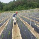 대박농장 이미지