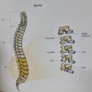 진해 골프랜드 | [진해PT]KSCPA 훈련부상 통증관리 2주차 후기