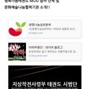 아미태권도장 이미지