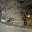 곰배령산장 이미지