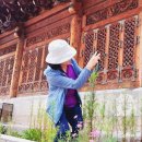 [공지] 우이령길 산행