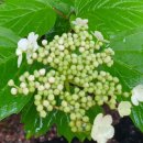 일산탑내과의원 이미지