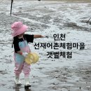 청룡어촌체험마을1 | 선재도 어촌체험마을에서 아이랑 갯벌체험 조개캐기 당일치기 후기