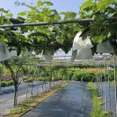 서해토지공인중개사사무소 이미지