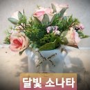 알 수 없어요 / 한용운 이미지